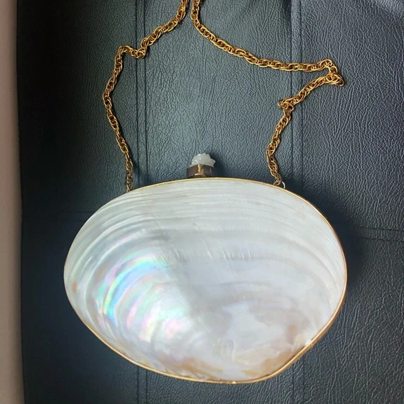 Gorgeous Genuine Oyster Mother of Pearl Clutch ๐ค๐ฆช ๐ - Picture 9 of 9